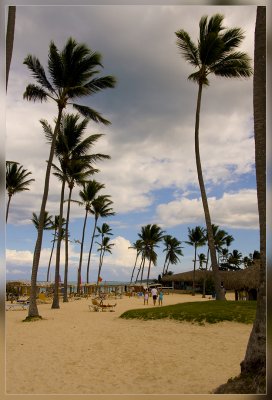 DSC_4150.jpg