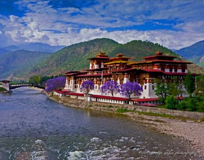 Springtime Punakha Dzong