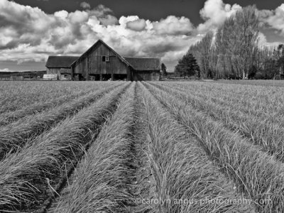 La Connor, Washington