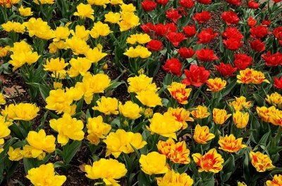 Zoo-_20110408_348_.jpg