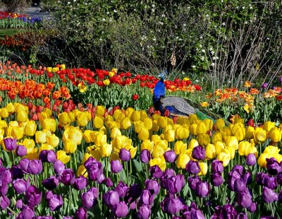 Zoo-_20110413_402_.jpg