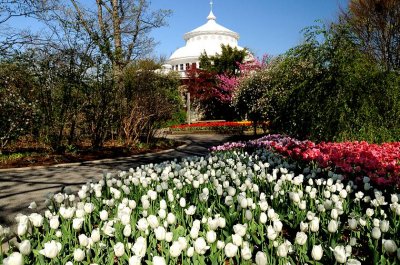 Zoo-_20110413_436_.jpg