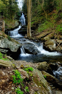 Ozone Down Stream