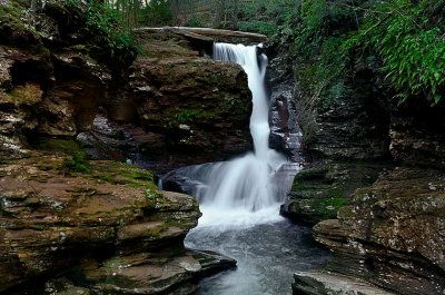 Adams Falls