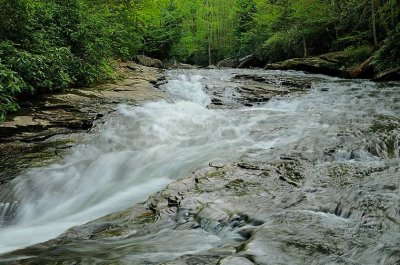 Stream in Ohiopyle State Psrk