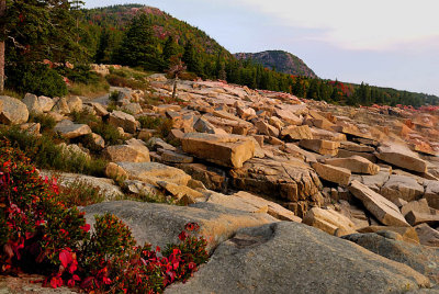 NE Trip2007-10-05_0011.jpg