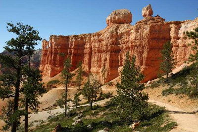 Bryce Canyon2005-08-28_0002-2.jpg