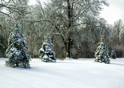 Winter 2007