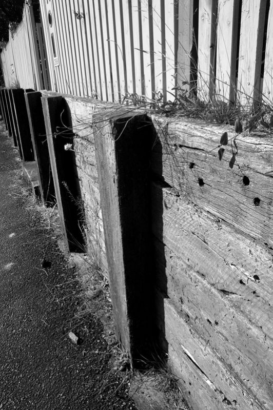 fence 3 v.jpg