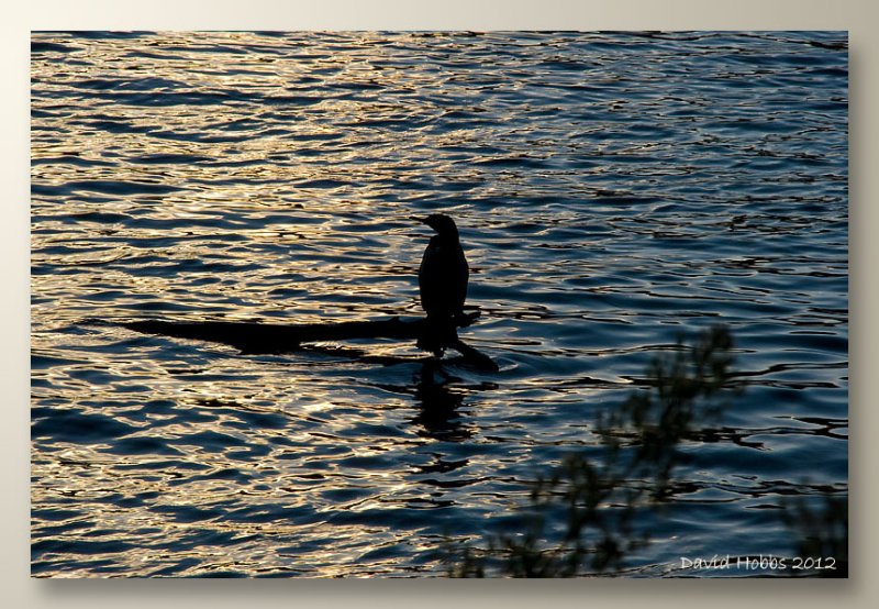 Wentworth Falls Lake 4wosf.jpg