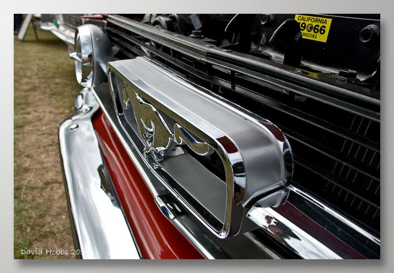 mustang chrome wosf.jpg