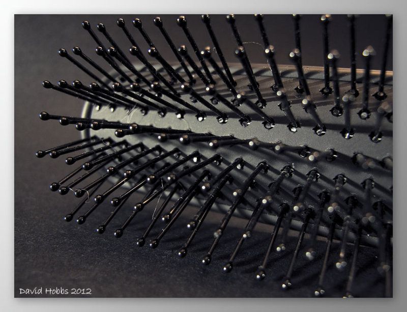 hair brush wf.jpg