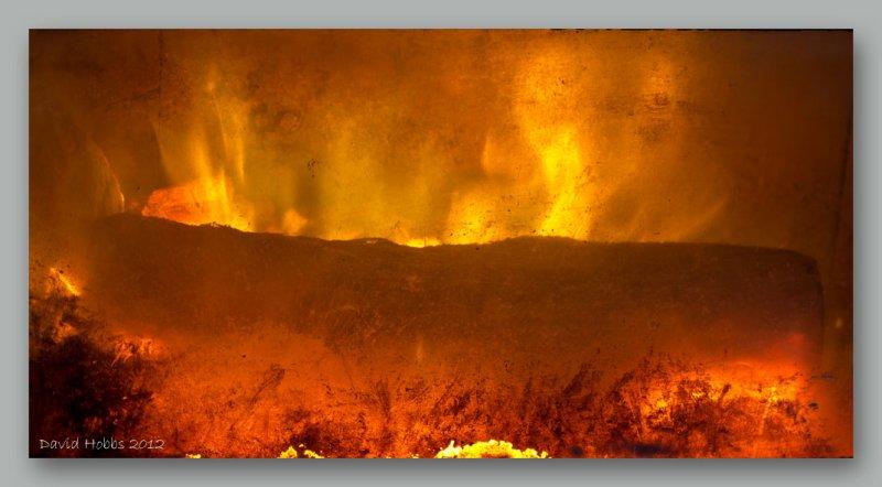 wattle fire wf.jpg