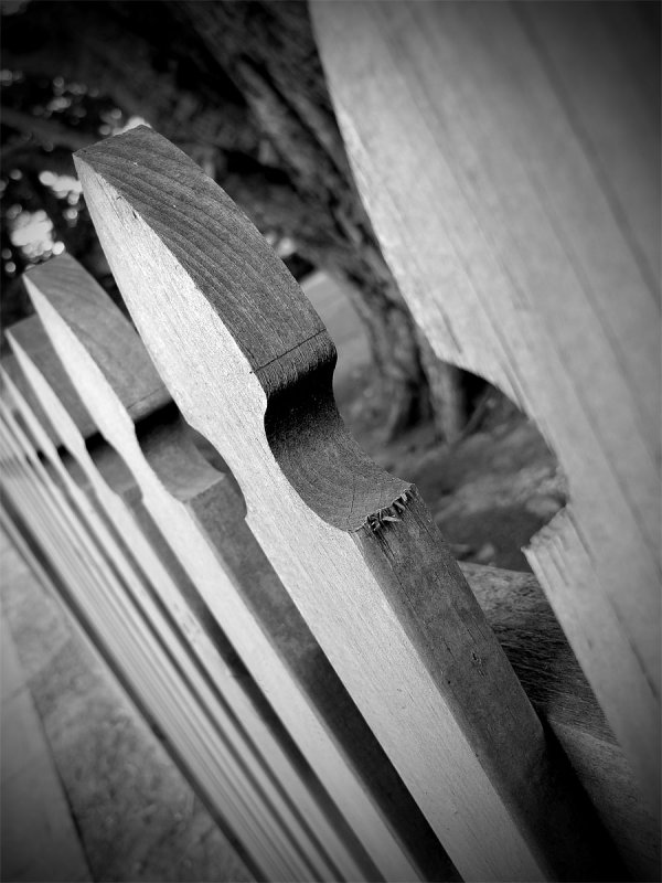 leaning fence wm.jpg