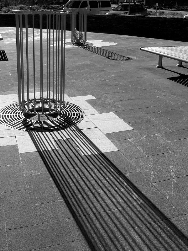 cage shadow w.jpg