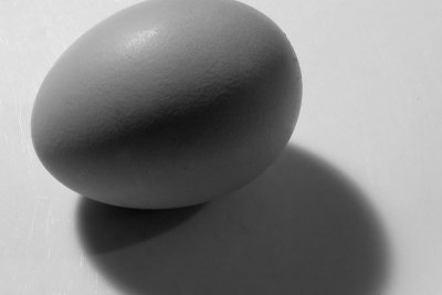 egg h.jpg