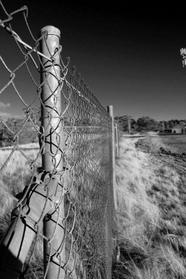 wire fence 2 v.jpg