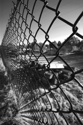 wire fence v.jpg