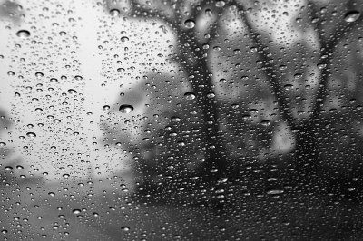 rain window 3 h.jpg