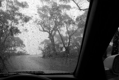 rain wndow 2 h.jpg