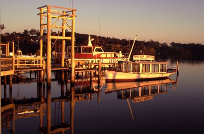 wharf at narooma 4 h.jpg