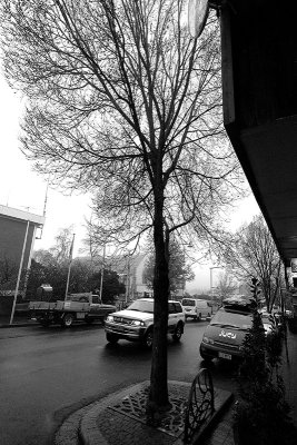 grey katoomba v.jpg