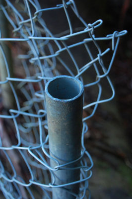 wire fence 7 v.jpg