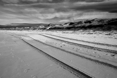 beach tracks h.jpg