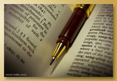 dictionary and pen f.jpg