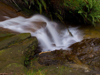 katoomba falls cataract w.jpg