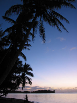 Dawn, Ta'a koka, Muri Beach 511.JPG