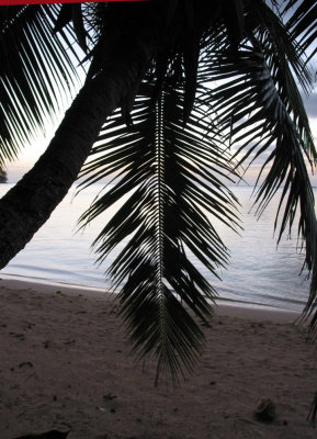 Dawn, Ta'a Koka, Muri Beach 521.JPG