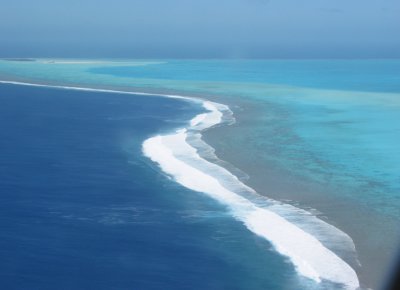 Outer reef, Pacific Ocean 313.jpg