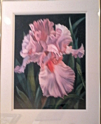 Pink Iris 359i Molnar Sale 800 Rent 20 30x37 Watercolor.jpg