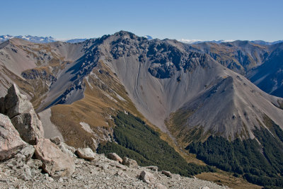 390E8419.jpg