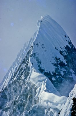Slide022_139.jpg