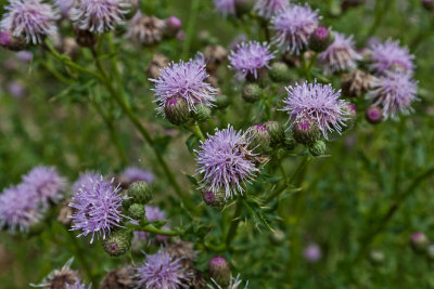 390E1034.jpg