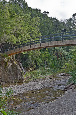 End of the Orongorongo Track - bridge over Turere Stream.