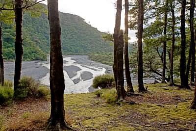 Orongorongo River from near Paua Hut.