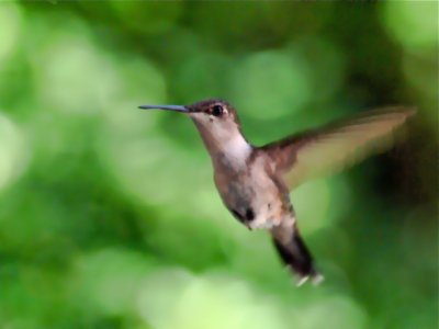 Landing Approach