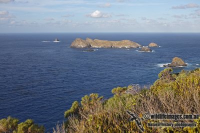 Lord Howe Island 4500.jpg