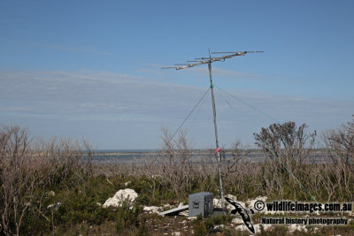 Radio tracking tower a9000.jpg