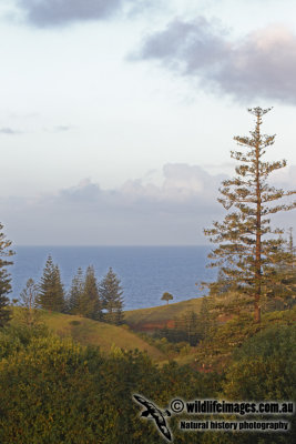g4/73/838473/3/143119322.R9lRjTHL.jpg