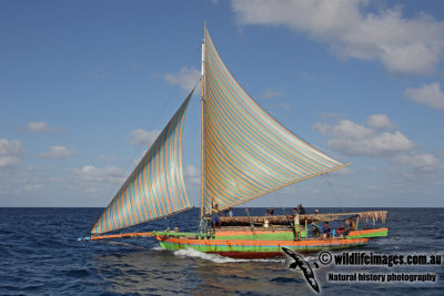 Indonesian Vessel .jpg