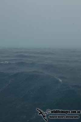 Ashmore Reef storm 4049.jpg
