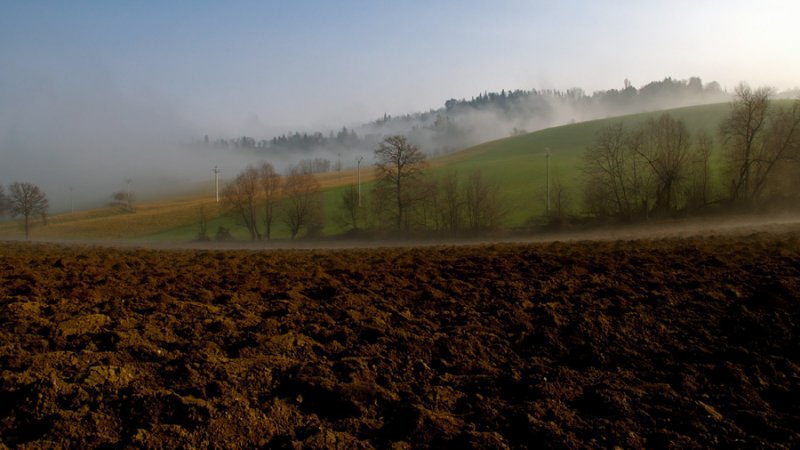 Fog Landscape