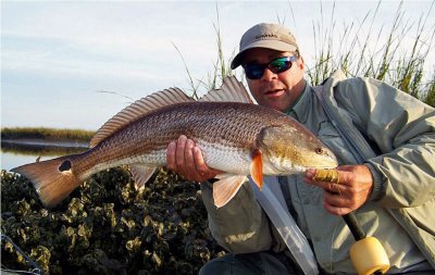 Big Spring time 29 Reds around the Oysters