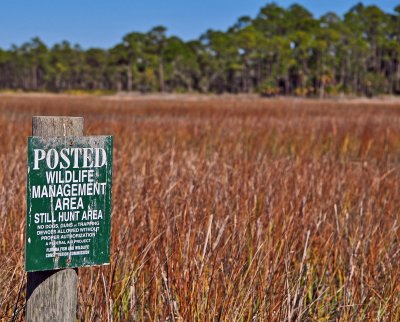 Pine Island FWC Posting