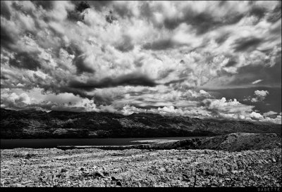 Canon_EOS_1D_Mark_II_20100806_132513_IL5M9287-Edit2.jpg