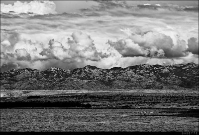 Canon_EOS_1D_Mark_II_20100806_142931_IL5M9342-Edit.jpg